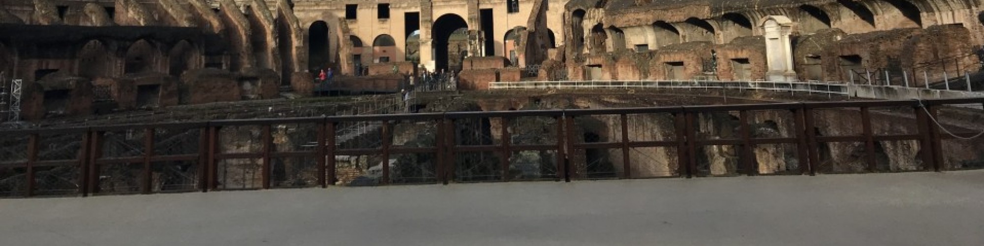 Skip the line Colosseum tour with arena floor, Forum and Palatine Hill