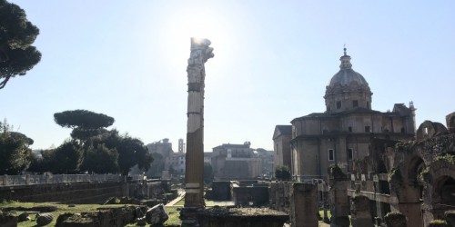 Skip the line Colosseum tour with arena floor, Forum and Palatine Hill
